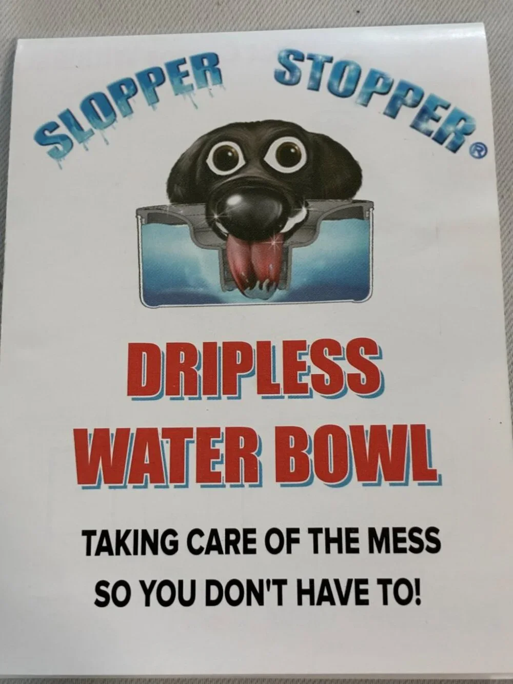 Dog water Bowl